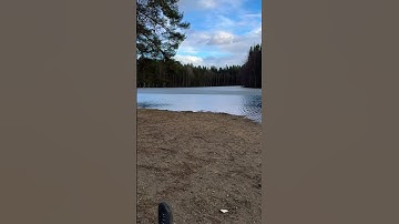 Catching snowflakes, not feelings! #song #music #lovesong