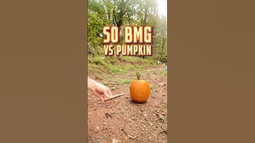50BMG Pumpkin Experiment!