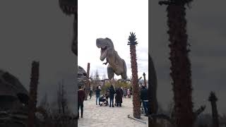 Ankaparkwonderland Da Di̇nazor