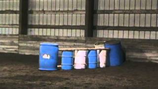 Scotchgard G - January 2013