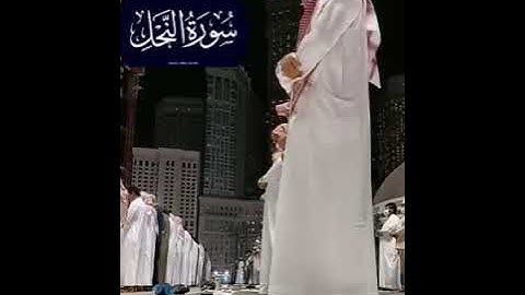 ما تيسر من سورة النحل بصوت الشيخ ماهر المعيقلي