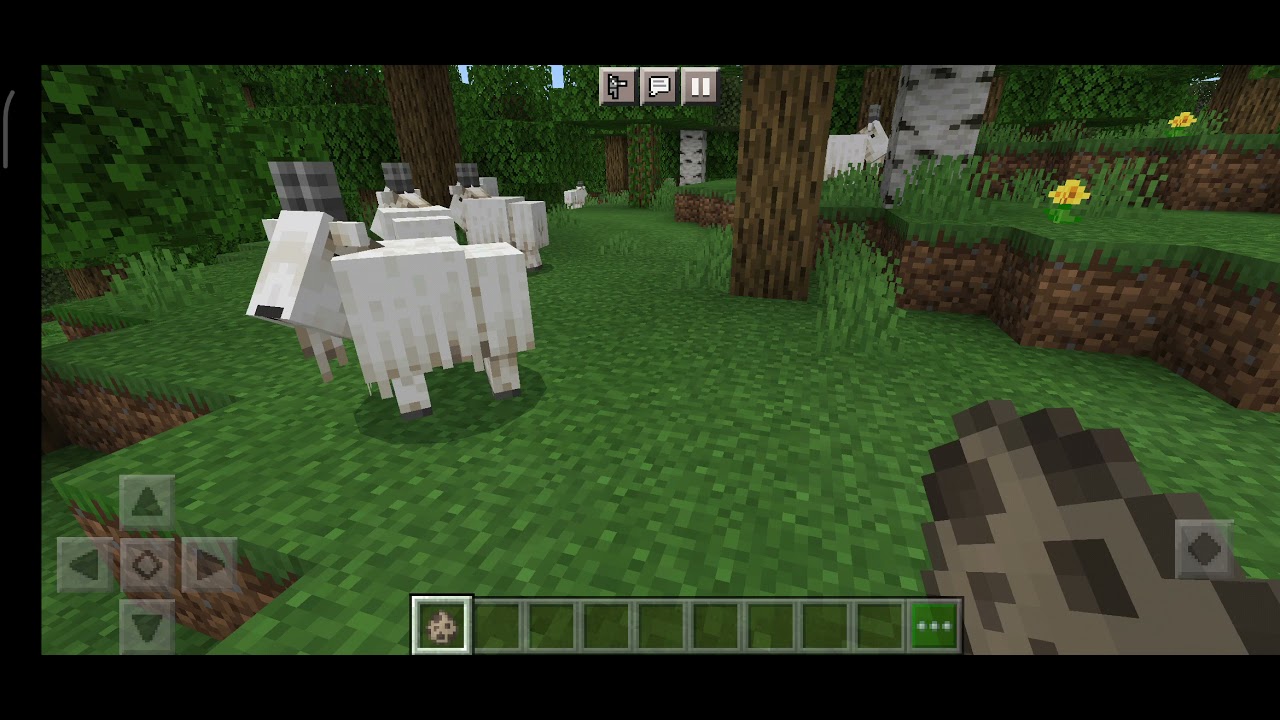 Minecraft: Die 2% spawnchance: schreiende Ziege (Screaming Goat) - YouTube