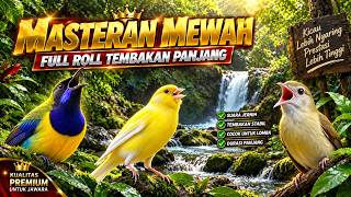 MASTERAN MURAI BATU MEWAH – FULL ROLL TEMBAKAN PANJANG‼️