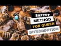 The Safest Method To Add Queens - How to Replace a Queen - How to Introduce Queen Bees