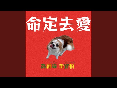 高維綸 M.Kao & 李宜柏PAULYBLEE - 命定去愛