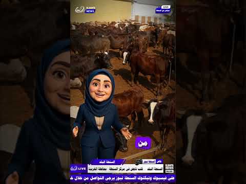 السنطة البلد قلب السنطة النابض وروحها اللي عمرها ما بتنام فيها الحكايات والناس الطيبين