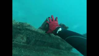 Close call diving