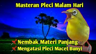 Masteran Pleci Malam Hari Agar Pleci Nembak Materi Panjang dan Mengatasi Pleci Macet Bunyi