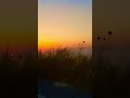 يا ليلة الجمعة #الله #fyp #viral #اجر #اكسبلور #دعاء #ليلة_الجمعة #shorts #مكة #quran ##قرآن