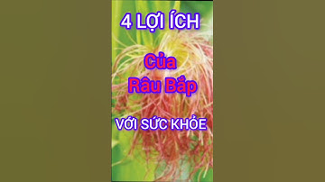 4 Lợi Ích Bất Ngờ Của Râu Bắp Có Thể Bạn Chưa Biết #dinhduong #health #suckhoe