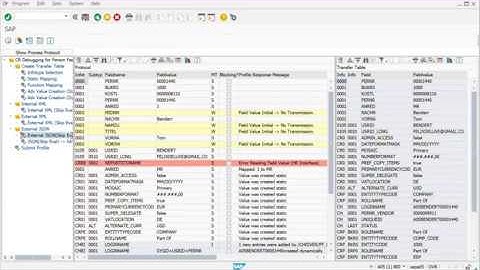 SAP Connector with ChromeRiver