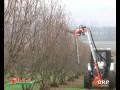 Orp orchard pruner with disc rinieri potatrice a dischi