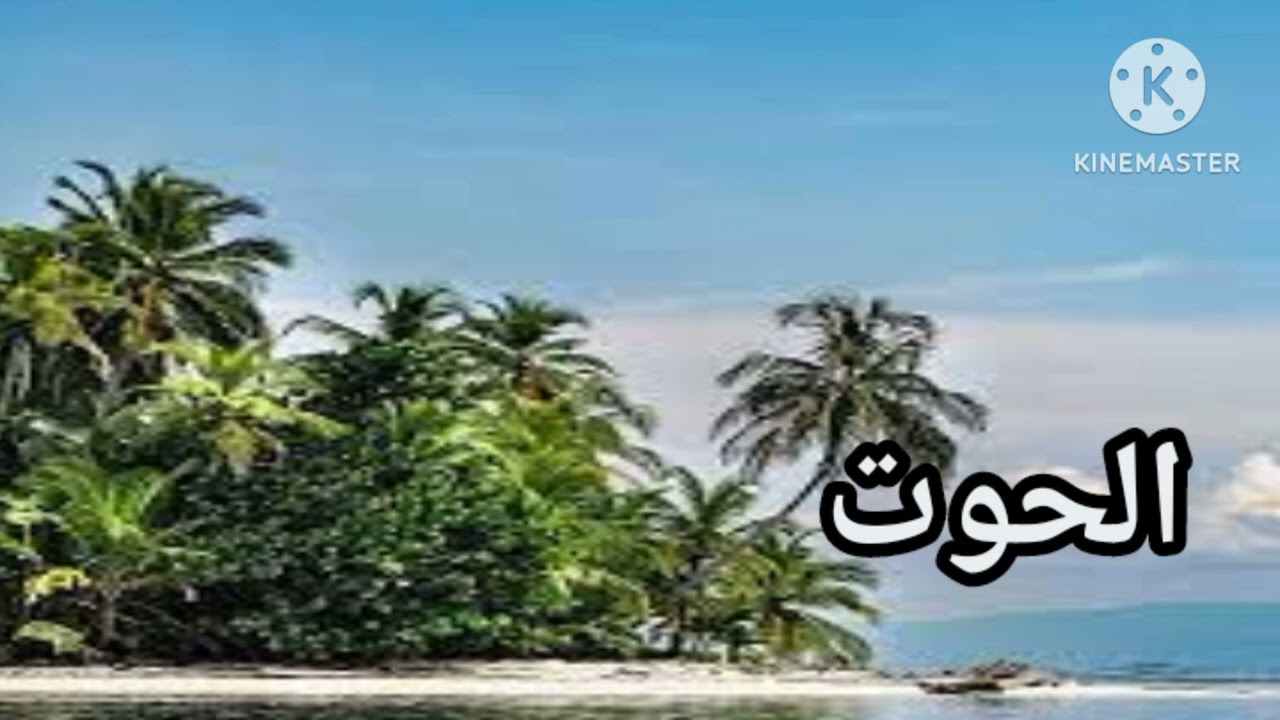 برج الحوت🌿شيخ روحاني🌿🫣 جاب كل الي في بطنك ..  وانت من الانكسار للانتصااار