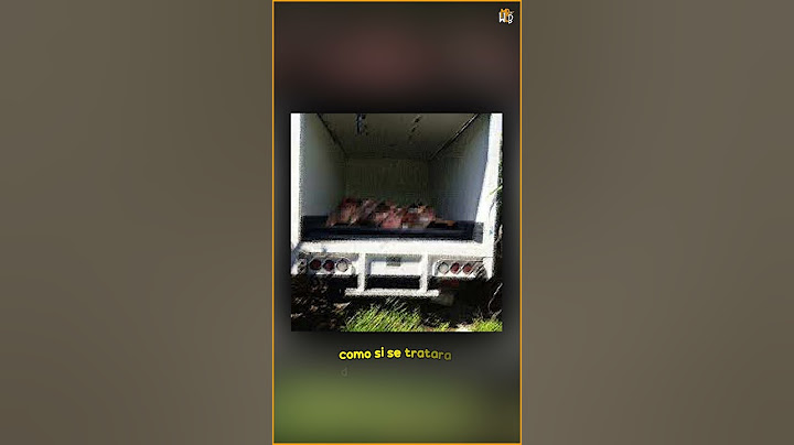 La Triste Historia De La Mujer Que Vio Un Camión Llenos De N1ÑOS mu3rt*os y Después la AS3S1N4R*ON