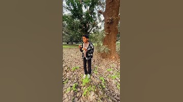 Rate my edit guys 💗🚶| #shorts #edit #shubh #punjabisong #meramann #cinematic