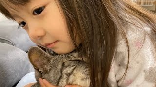 ３歳児と猫のひととき。【Baby and Cat】