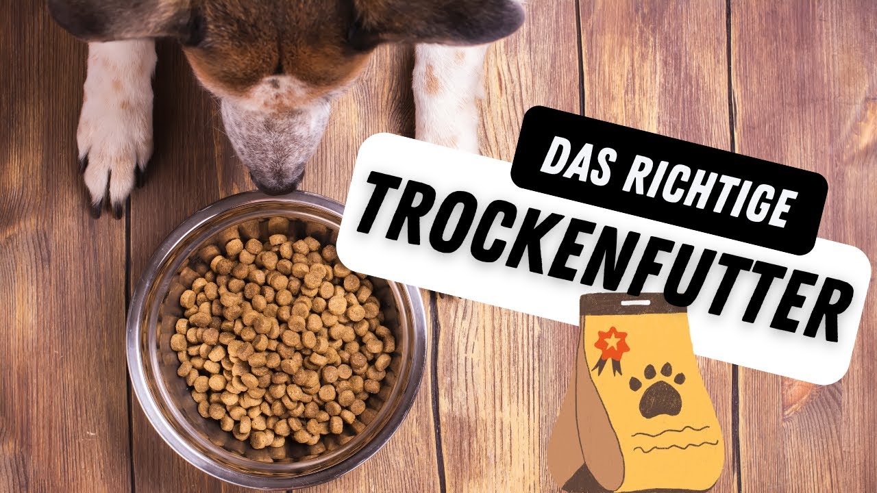 Das solltest du über TROCKENFUTTER wissen