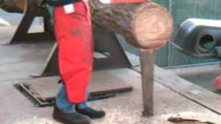 The chainsaw guy log testing Husqvarna 61