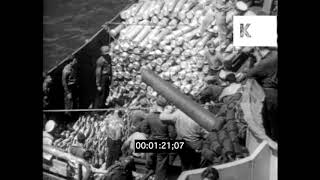 1943 Battle of Tarawa, Gilbert Islands, WWII Conflict Newsreel