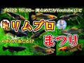 第１回オンラインイベント！リムプロまつり！【チャチャメダカ、美心めだか】＃Ｌ０８