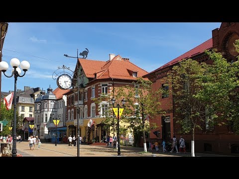 Зеленоградск 2019, Калининградская область/ город кошек