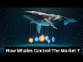 Crypto Whales VS Retail Investors – सच्चाई जो कोई नहीं बताता