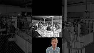 Piggly Wiggly history. Piggly Wiggly was America’s first self-service grocery store
