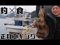 【釣×食】アオリイカ、アタリから食べるまで撮影しました!【福江島】