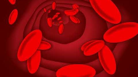 Incredible Science Class 5 - Chapter 6 - Page 65