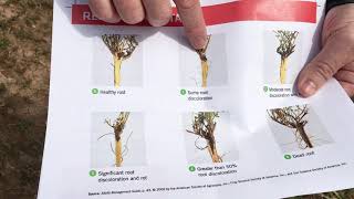 Assessing Wisconsin Alfalfa