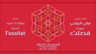 سورة فصلت للقارئ الشيخ هاني الرفاعي