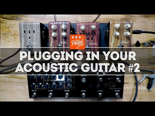 T-REX SOULMATE [訳あり] T Rex Soulmate review - YouTube