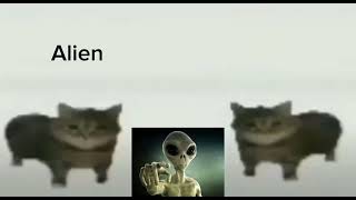 This Is A Alien