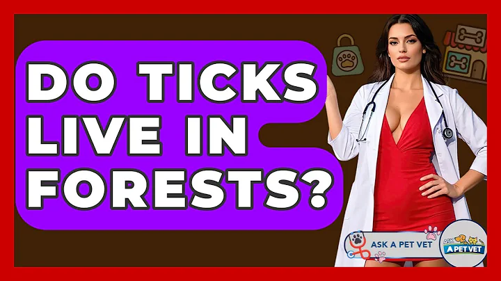 Do Ticks Live In Forests? - Ask A Pet Vet