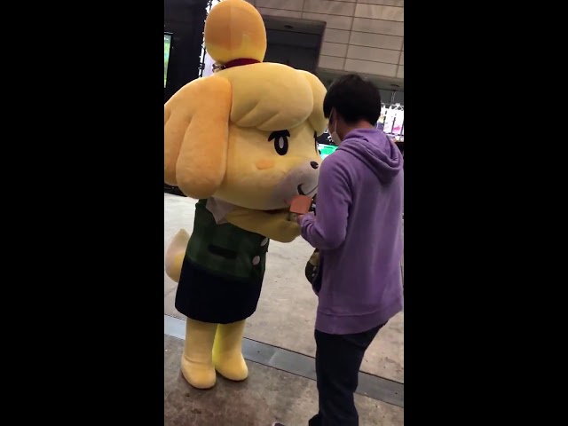 nintendo isabelle plush