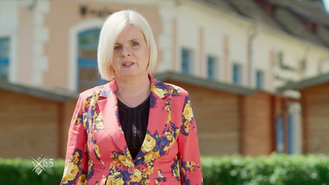 2x65: Christel Ungar ne prezintă Situl rural Biertan (@TVR1)