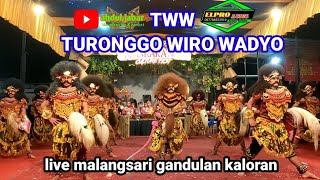 JARAN KEPANG TWW TURONGGO WIRO WADYO LIVE MALANGSARI GANDULAN KALORAN