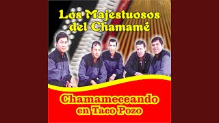 Video thumbnail of "Los Majestuosos Del Chamamé - Amar"