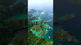 Tropical Paradise a.k.a📍Raja Ampat, Indonesia screenshot 1