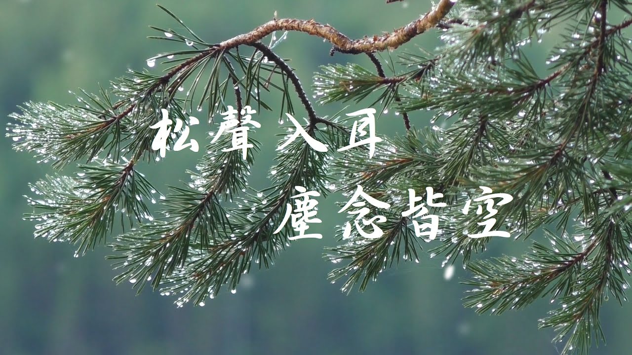 松之歌 | Song of the Pines | Deep Meditation, Mindfulness, and Zen Practice | 禪修、冥想、靜心 松之歌 | Song of the Pines | Deep Meditation, Mindfulness, and Zen Practice | 禪修、冥想、靜心