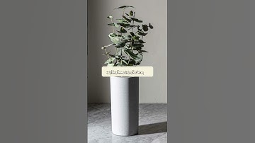 تلاوة تطهر قلبك 🌿 قرآن حالات واتس 🌿 من سورة الإنسان