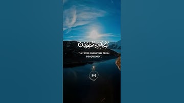 تلاوة عطرة من سورة النبأ - تلاوات رائعة و هادئة للقلب  - قرآن  - Quran