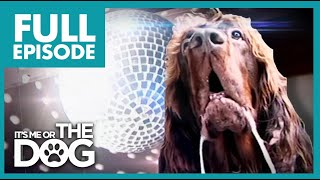 The Dog With OCD: Max | Season 2 Episode 5 | Full Episode | It's Me or The Dog