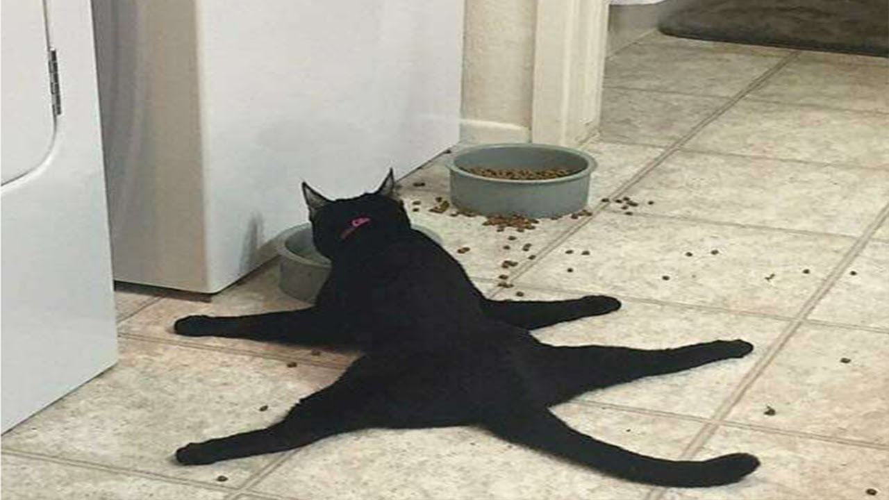 weird little goobers