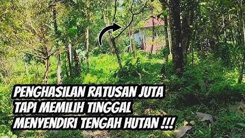 KAGET !!! KELUARGA PENGUSAHA MEMILIH TINGGAL MENYENDIRI DIRUMAH MEWAH TENGAH HUTAN