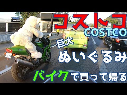 【コストコ巨大ぬいぐるみ】ツーリング中にバイクで買って帰るBuy a bear doll at Costco　Take it home on a motorcycle