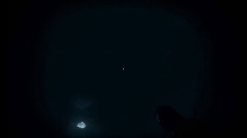 Stranded Deep - Whales and their scary songs