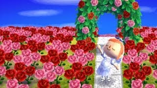 Dream Diary - Animal Crossing: New Leaf | Kiss the Bride