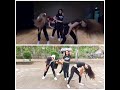 BLACKPINK DDU DU DDU DU DANCE PERFORMANCE COVER BY BLACKTEENSCREW (BTC)