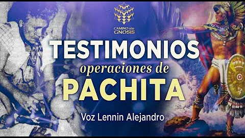 PACHITA - testimonios de sus operaciones